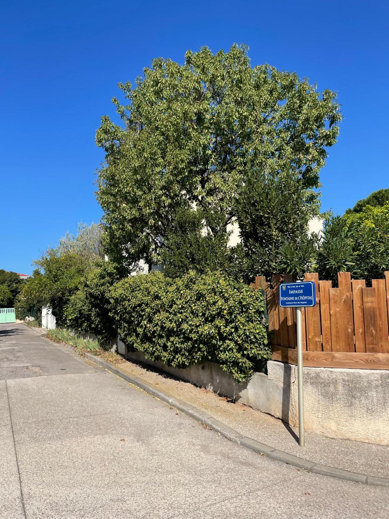 Saint-Jean-de-Védas Le Pistachier - Maison Cozy Avec Jardin Privatif מראה חיצוני תמונה